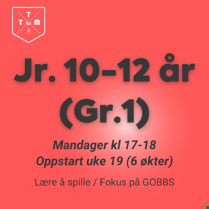 jr 10-12 år gr1 1 - TTM Golf Academy | VTG-kurs på Ballerud – Veien til Golf Oslo & Bærum